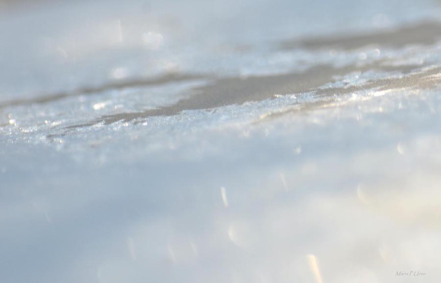 Frosted Silver Abstract Photograph by Maria Urso