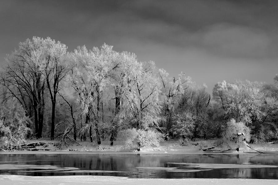 Winter Photograph - Frosted Trees on the River Black and White by Rob Whitney