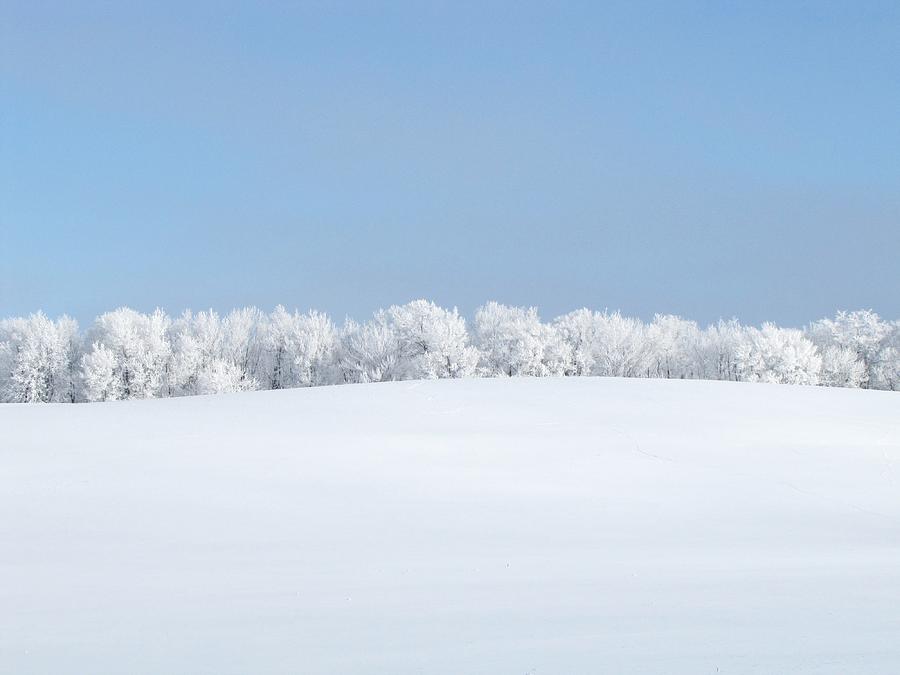 Frosted Winter Countryside Photograph by Lori Frisch