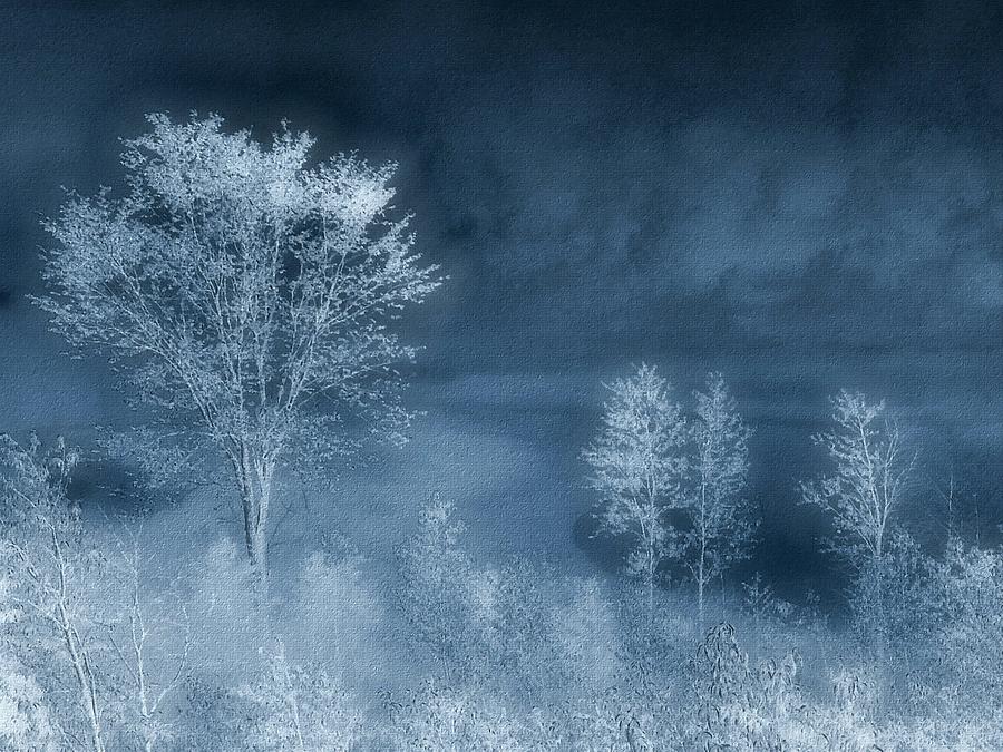 Unique Digital Art - Frosty Blue Morning by Lorraine Keil