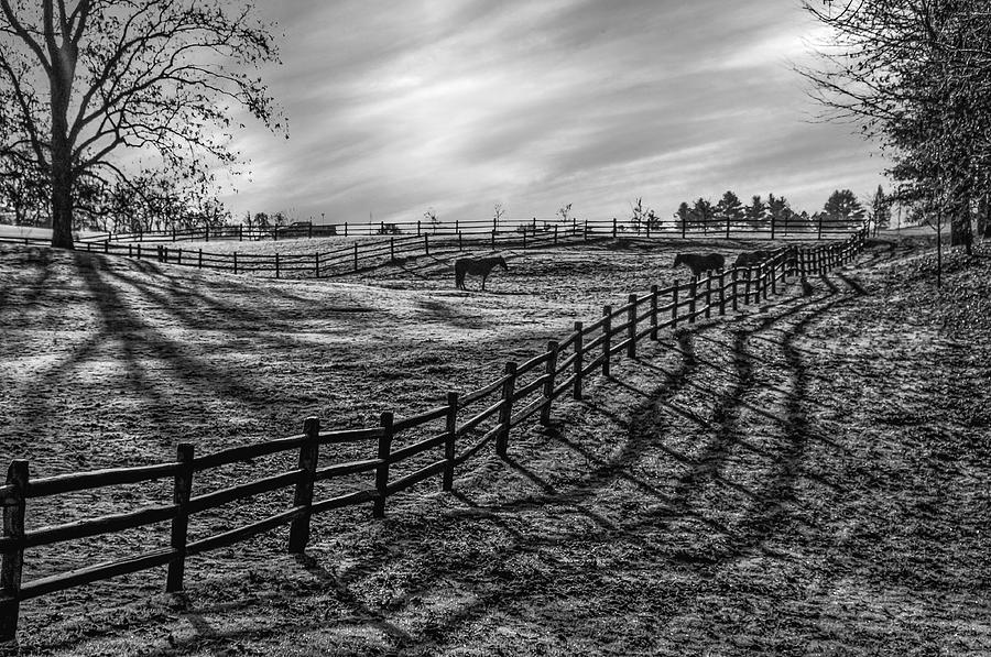 Frosty Corral at Dawn Photograph by Thomas Lavoie