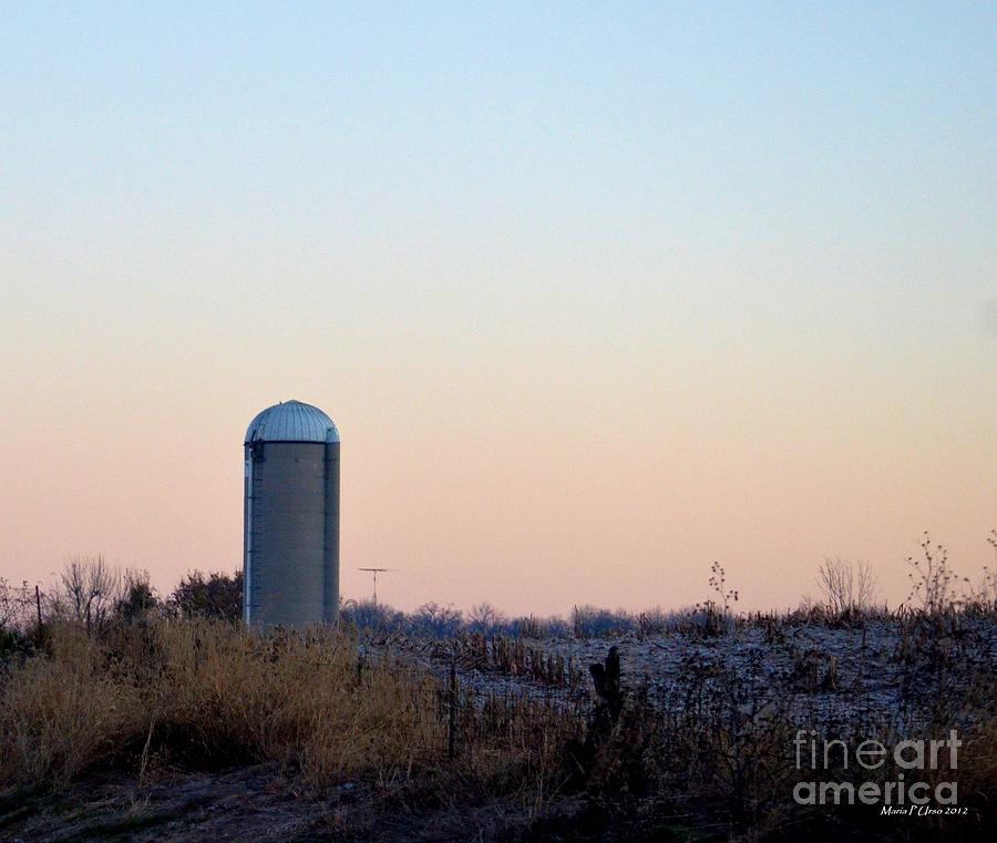 Farm Photograph - Frosty Dawn in Virginia by Maria Urso