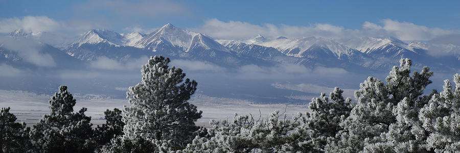 Frosty Day In The Sangres Photograph by Gary Benson