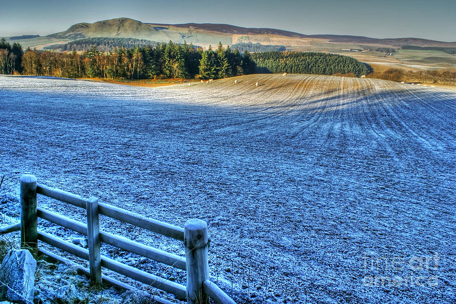 Frosty day in West Lothian Photograph by David Birchall