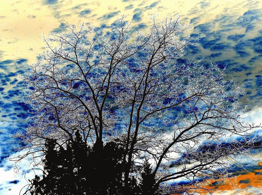 Frosty Fall Tree Digital Art by Will Borden