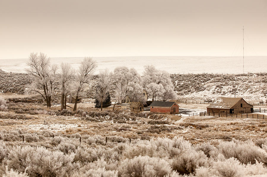 Frosty Farm Photograph