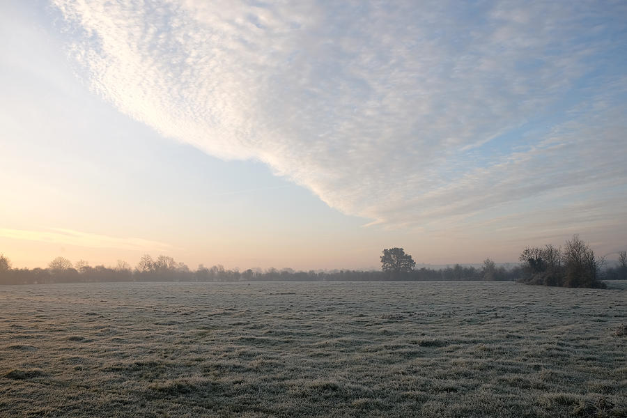 Fog Photograph - Frosty Field by Mark Severn Fog Photograph - Frosty Field by Mark Severn