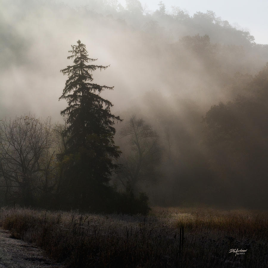 Frosty Foggy Morning Photograph by Don Anderson