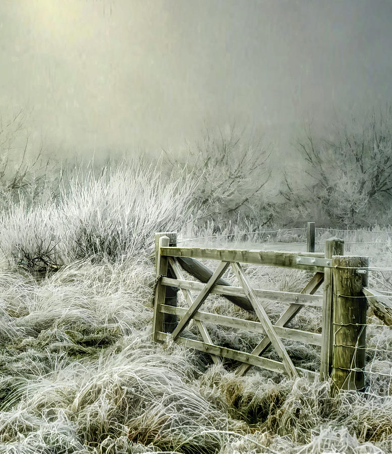 Frosty Gate Photograph by Brian Tarr