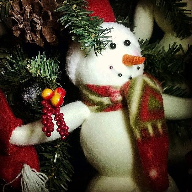 Christmas Photograph - Frosty J Protecting The Christmas Tree by Kristine Knowlton