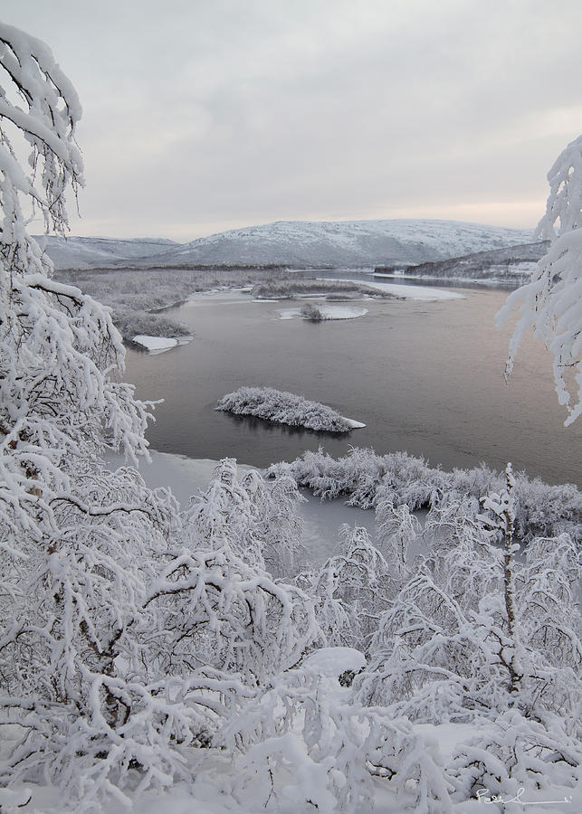 Frosty Landscape Photograph by Pekka Sammallahti