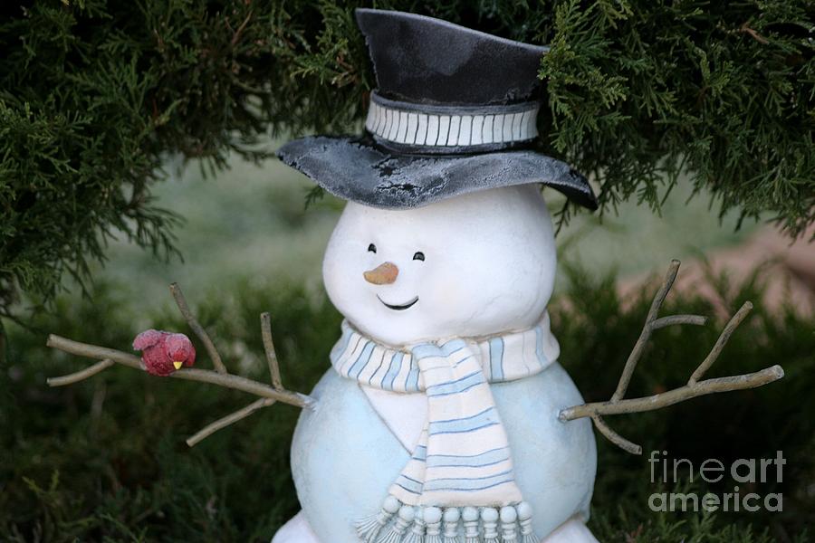 Frosty Photograph by Living Color Photography Lorraine Lynch