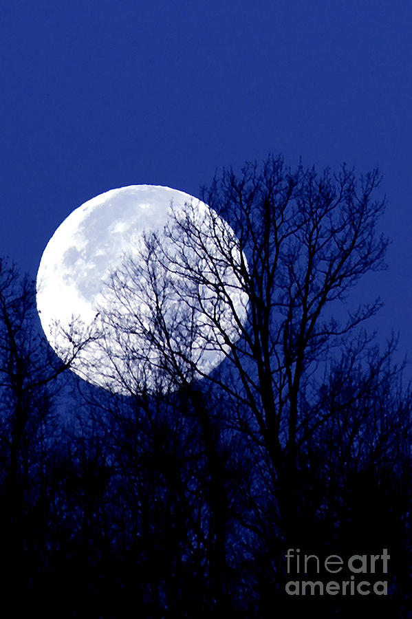 Nature Photograph - Frosty Moon by Thomas R Fletcher