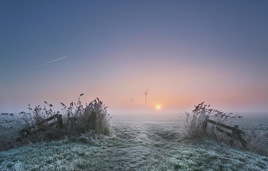 Winter Photograph - Frosty Morning by Anna Zuidema