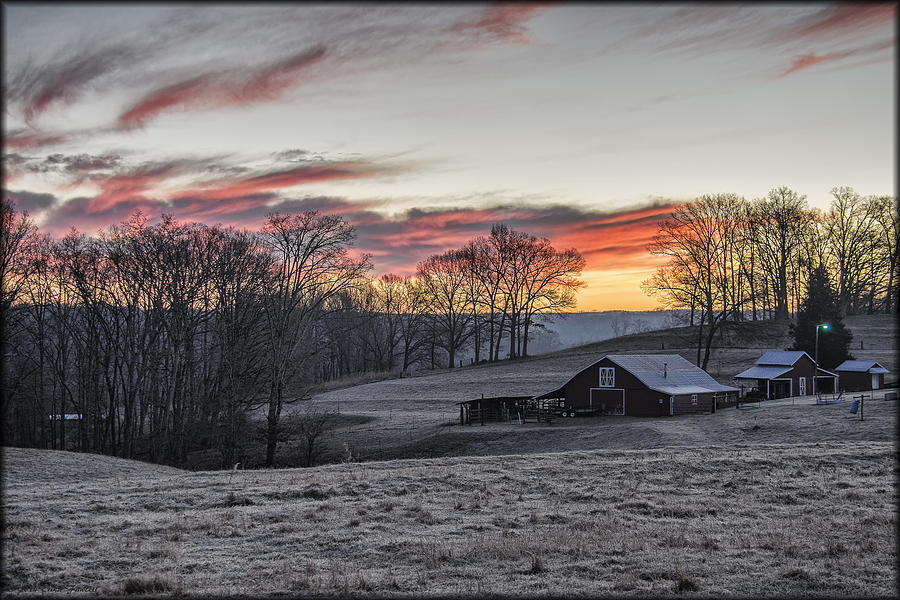 Frosty Morning Photograph by Erika Fawcett
