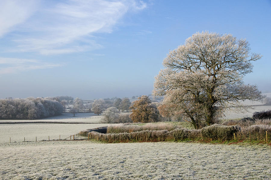 Frosty morning in Devon Photograph by Pete Hemington