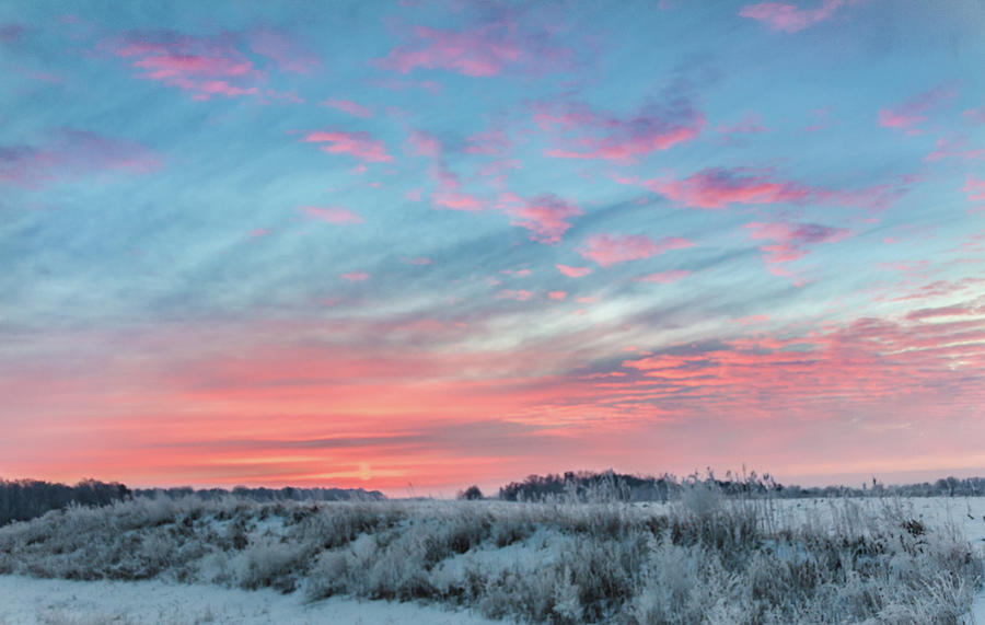 Frosty Pastel Winter Sunrise Skies Of Photograph by Carl M Christensen