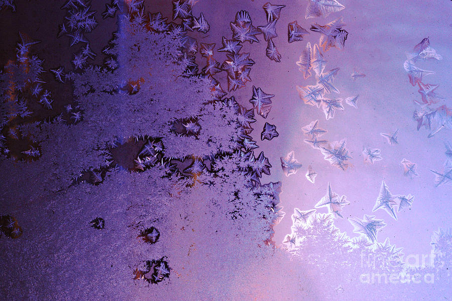 Frosty Purple Window Scene Photograph by Anna Lisa Yoder