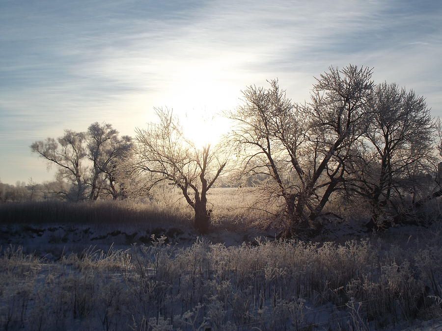 Frosty Rise Photograph by Bonfire Photography - Fine Art America