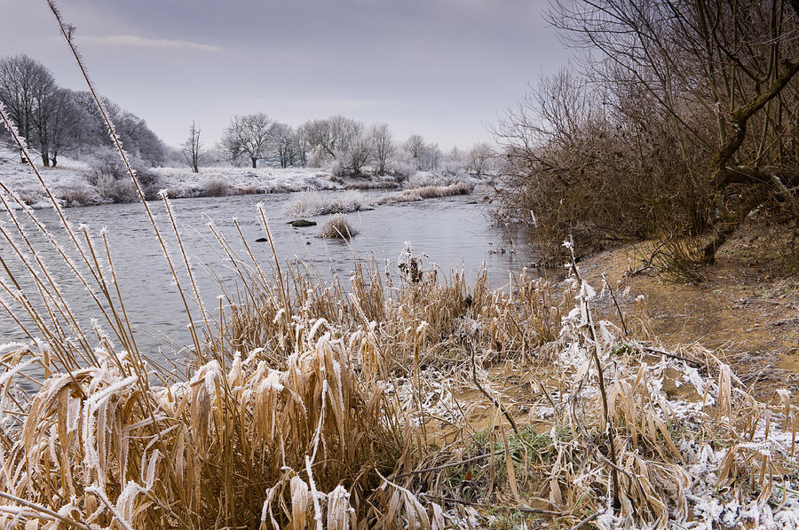 Frosty river Tyne Photograph by David Head - Fine Art America