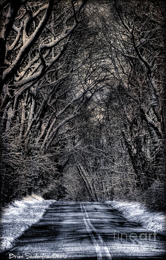 Winter Photograph - Frosty Road by Brian  Seidenfrau