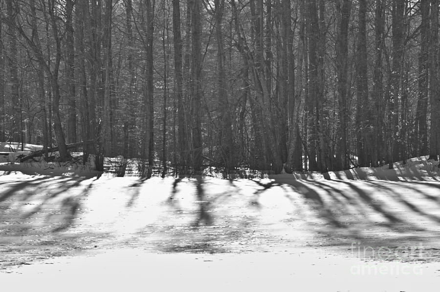 Frosty Shadows Photograph by Cheryl Baxter
