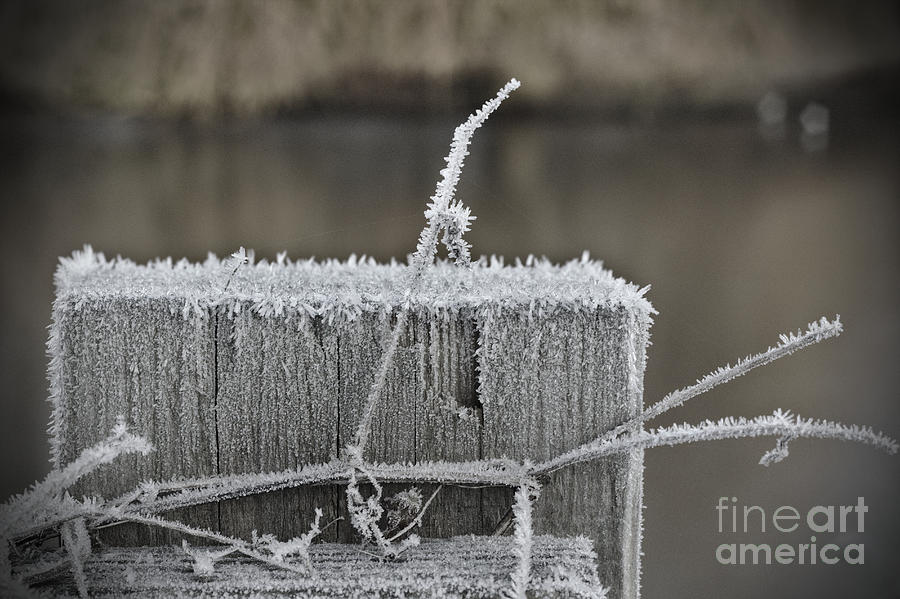 Frosty Start Photograph by Jeremy Hayden