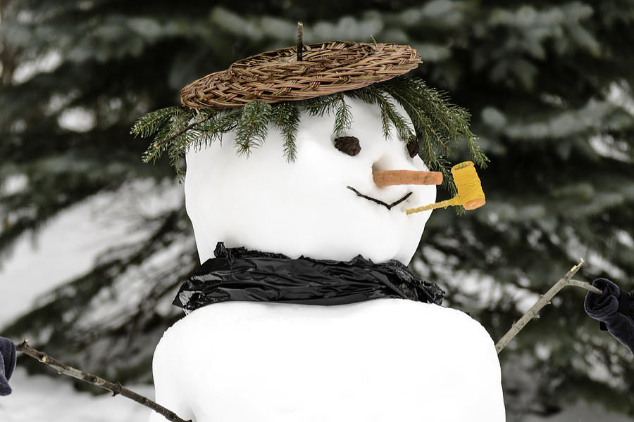 Frosty The snowman Photograph by LeeAnn McLaneGoetz McLaneGoetzStudioLLCcom