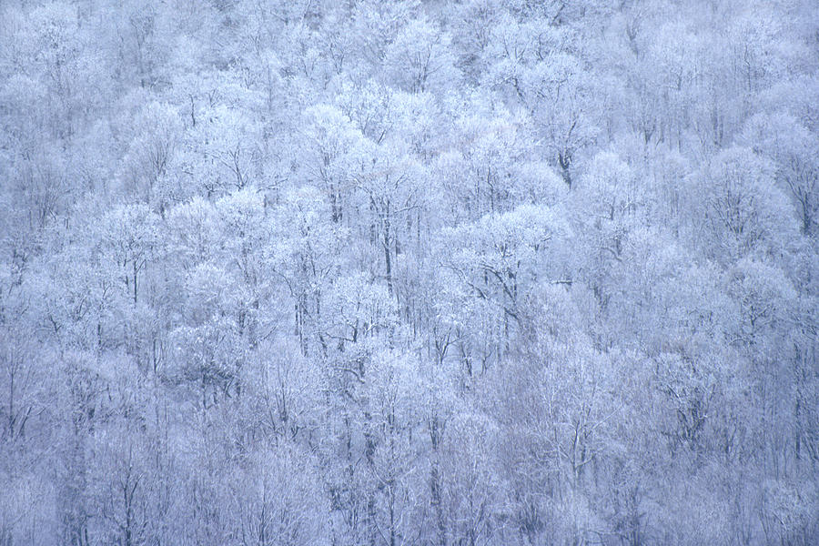 Frosty Tops Photograph by Joe Connors - Fine Art America