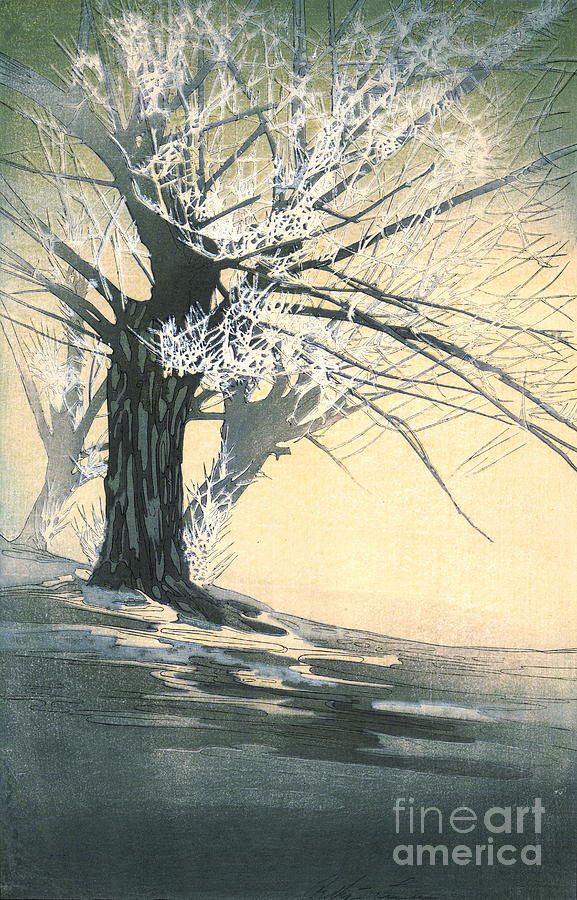 Frosty Tree 1920 Photograph by Padre Art