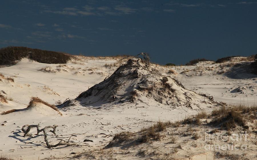 Frosty White Dunes Photograph by Adam Jewell