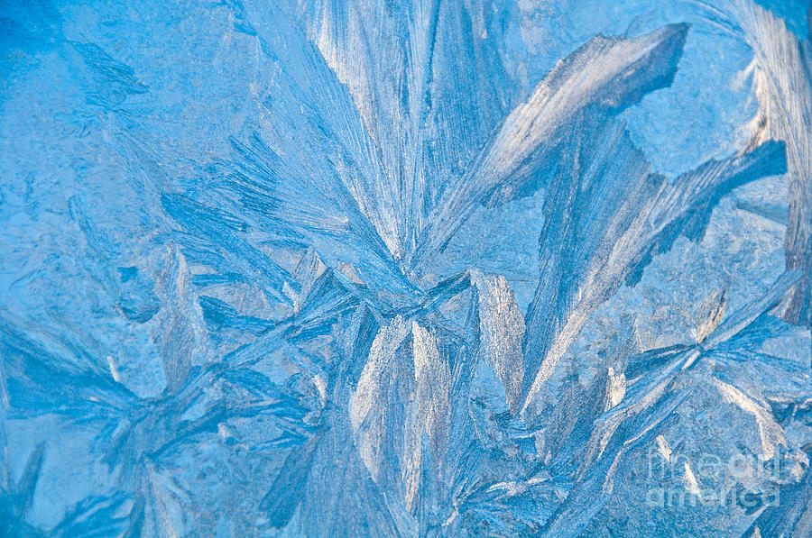 Frosty Window Art Photograph by Cheryl Baxter