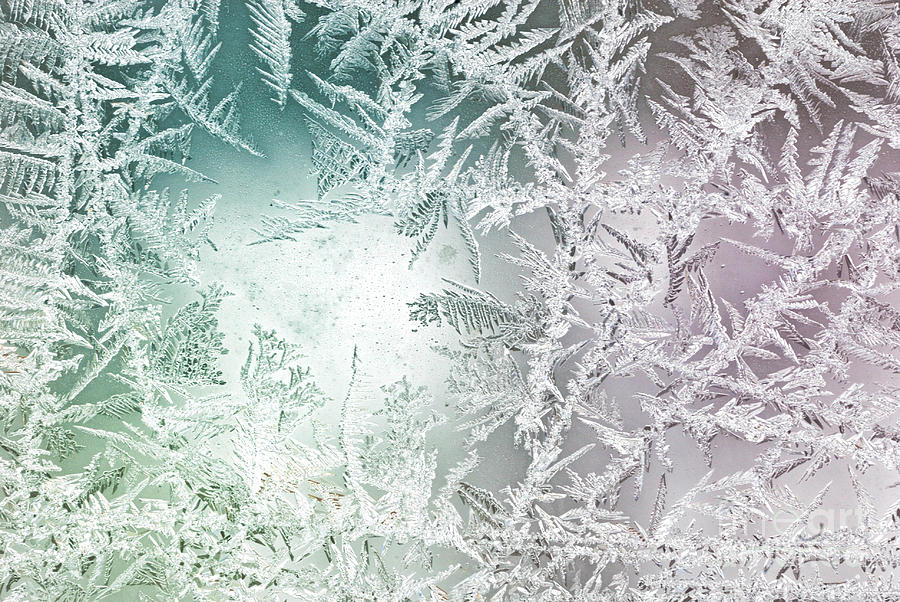 Winter Photograph - Frosty Windowpane by Amy Cicconi