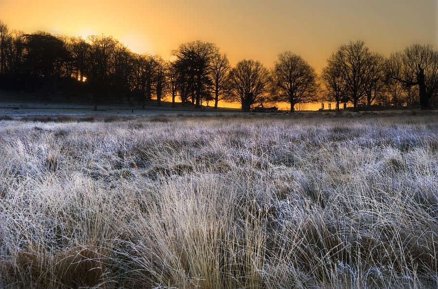 Frosty Winter Landscape Across Field Towards Vibrant Sunrise Sky ...