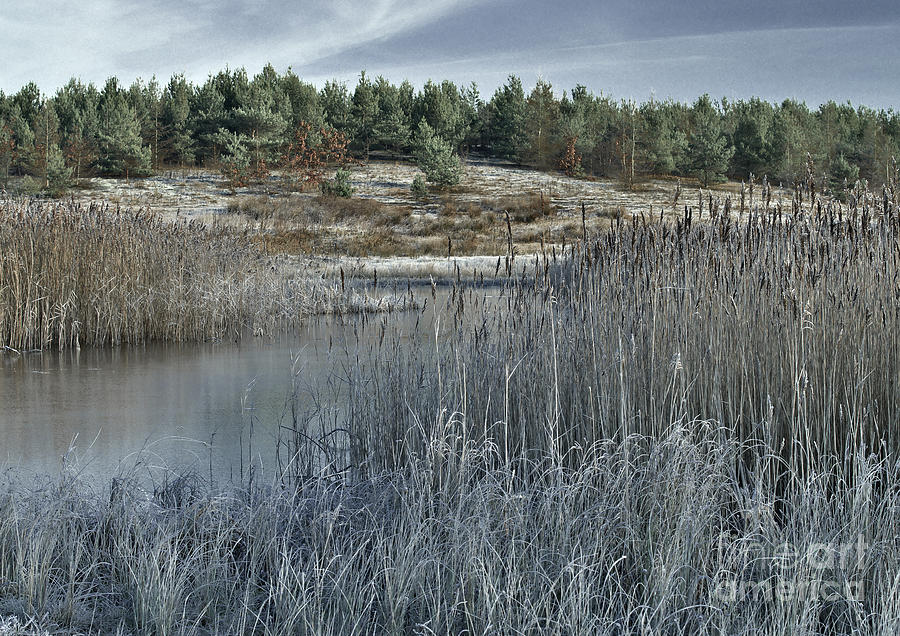 Frosty Winter Landscape Photograph by Martyn Arnold