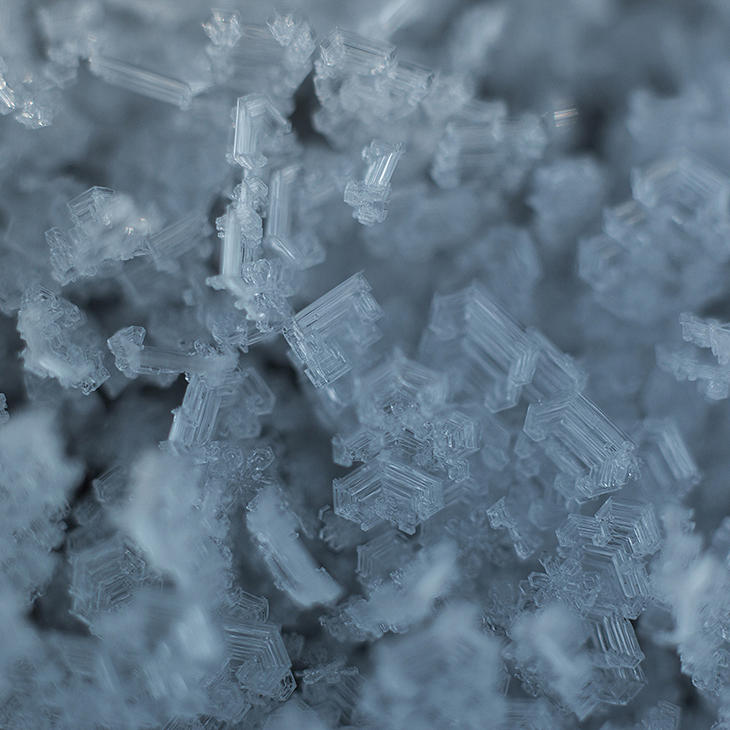 Winter Photograph - Frozen 2 by Illusorium Illustration