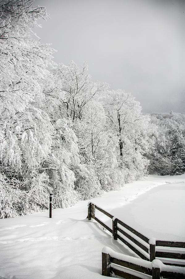 Winter Photograph - Frozen Afternoon by John Haldane
