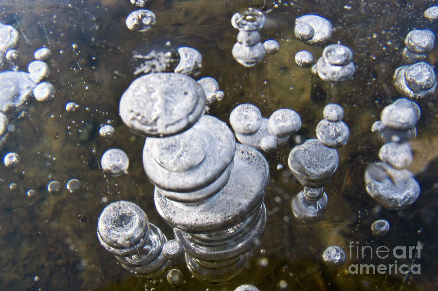 Frozen air bubbles Photograph by Heiko Koehrer-Wagner