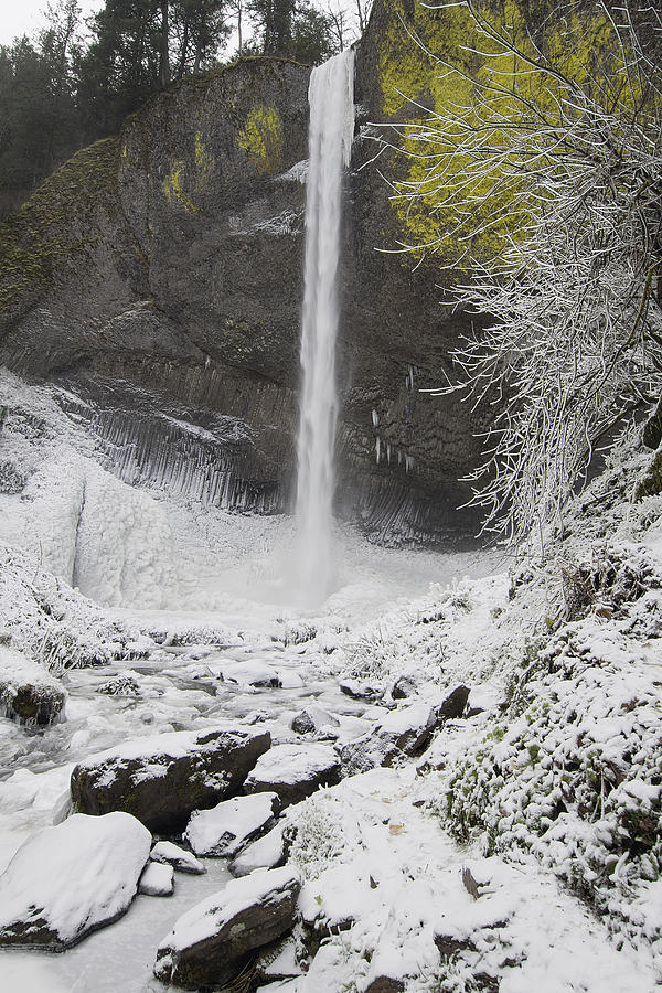 Frozen at Latourell Falls Photograph by David Gn