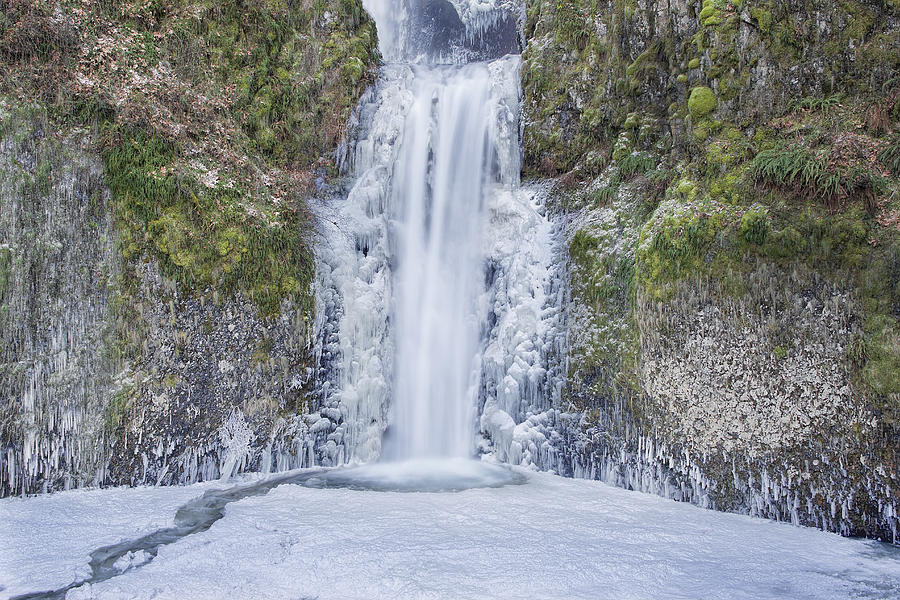 Frozen at Multnomah Falls Photograph by David Gn