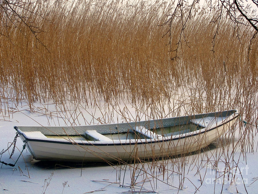 Frozen Boat Photograph by Lutz Baar