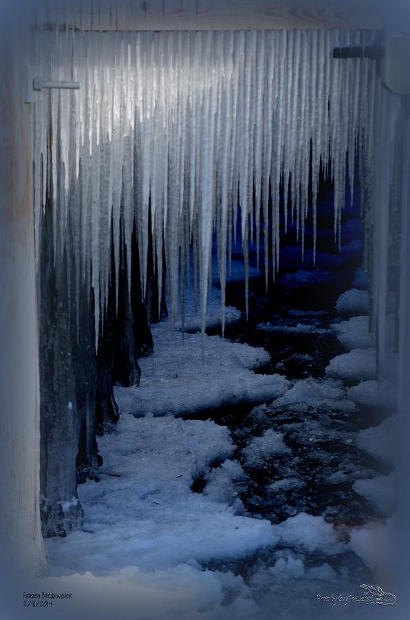 Frozen Breakwater 2 Photograph by Guy Hoffman