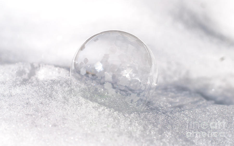 Frozen Bubble Photograph by Cheryl Baxter