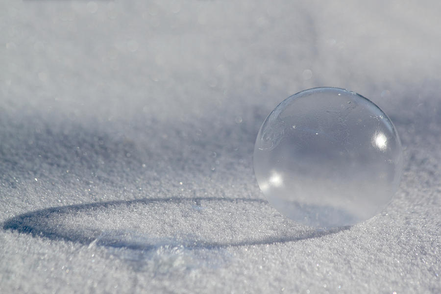 Frozen Bubble Photograph by Shane Bechler