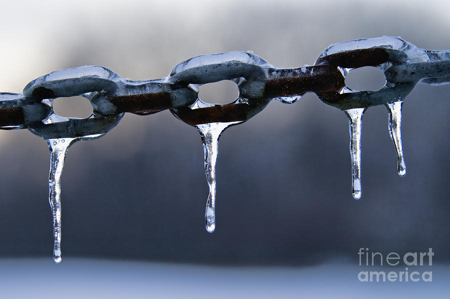 Frozen Chains - D008816 Photograph by Daniel Dempster