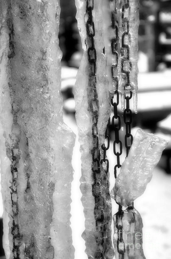 Frozen chains Photograph by Gelu Coltau