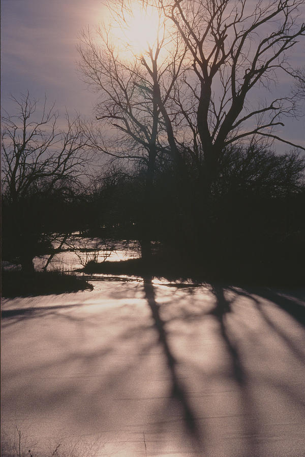 Frozen Chisholm Creek Photograph by David Drew
