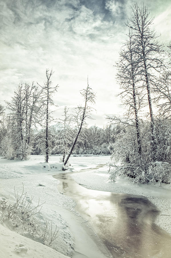 Frozen Creek at Sunset Photograph by Michele Cornelius