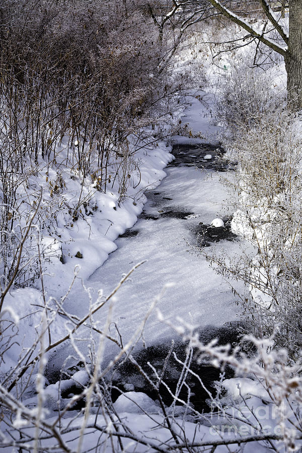 Frozen Creek Photograph by Timothy Hacker