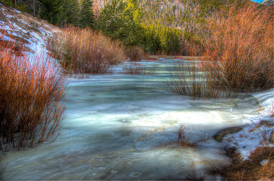 Frozen Creek Photograph by Will Wagner